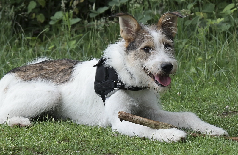 1 -- Felix Holland 6 - 2013 _SAM_0876 als Smart-Objekt-1 Kopie.jpg